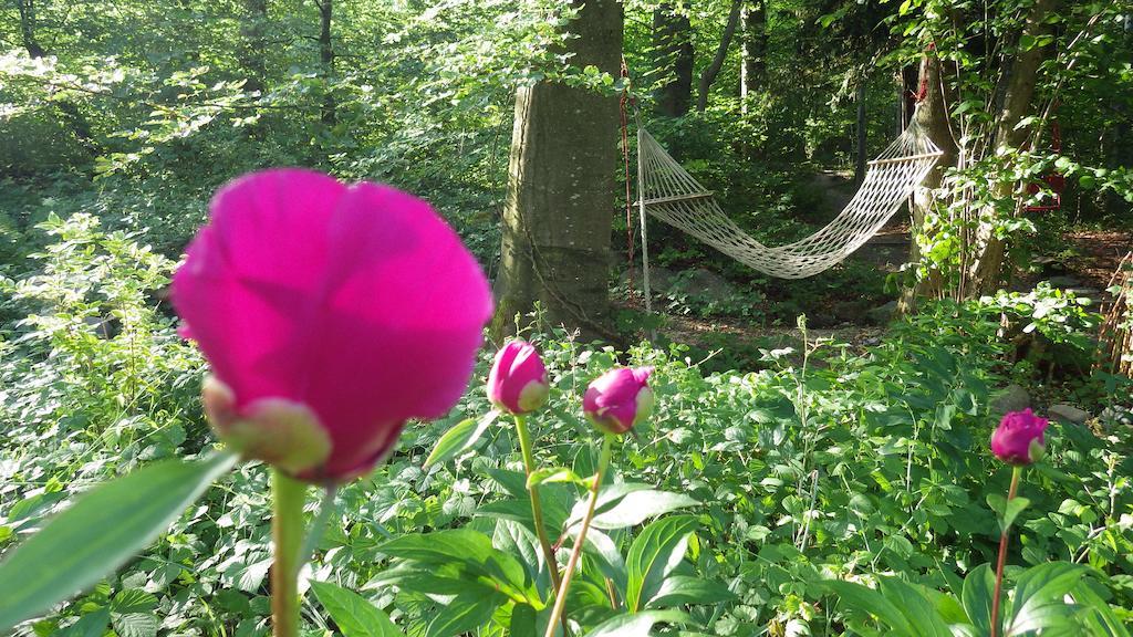 Konukevi Im Sonnenbuhl *